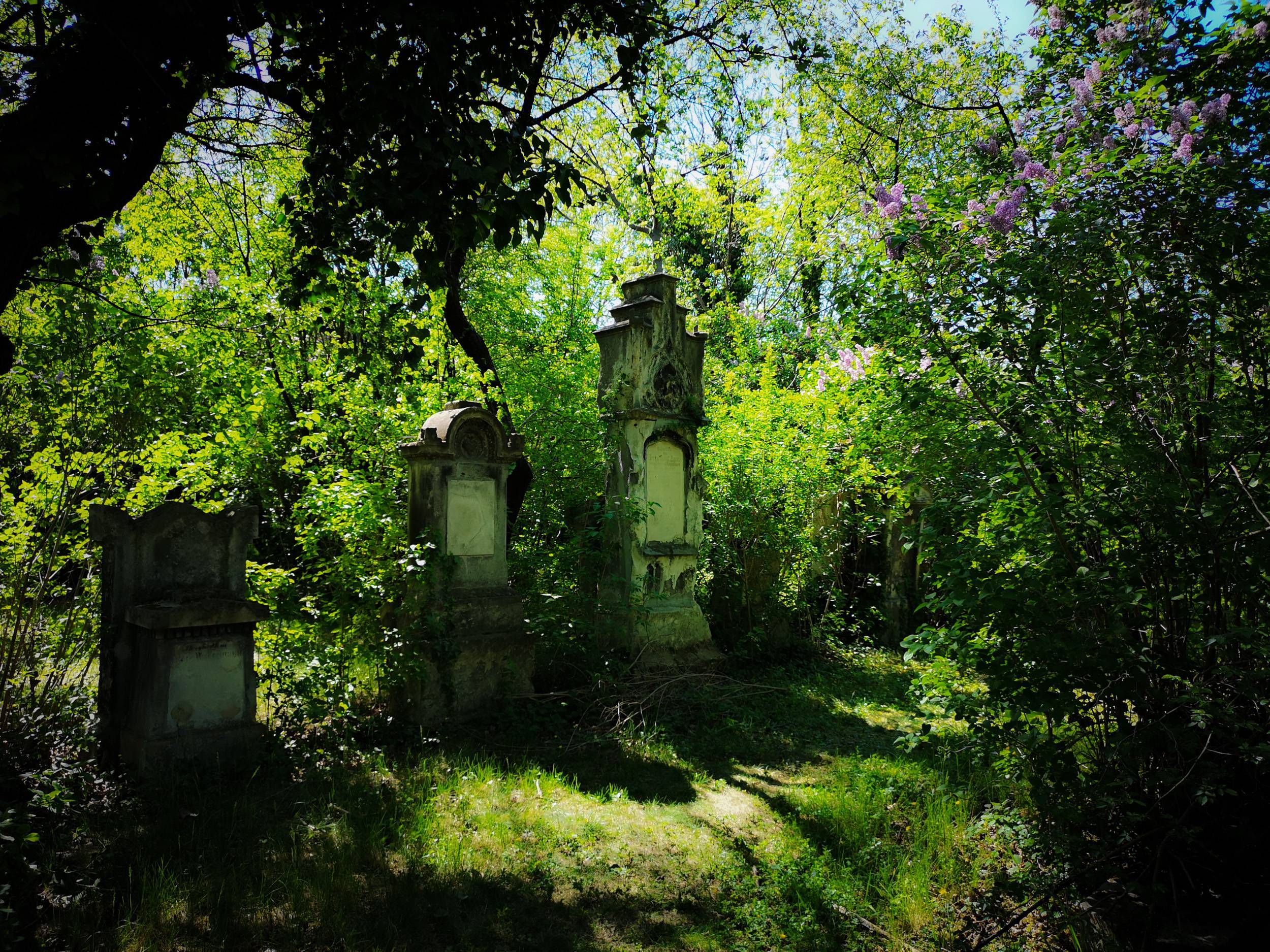 Overgrown grave in St Marx Cemetery, Vienna