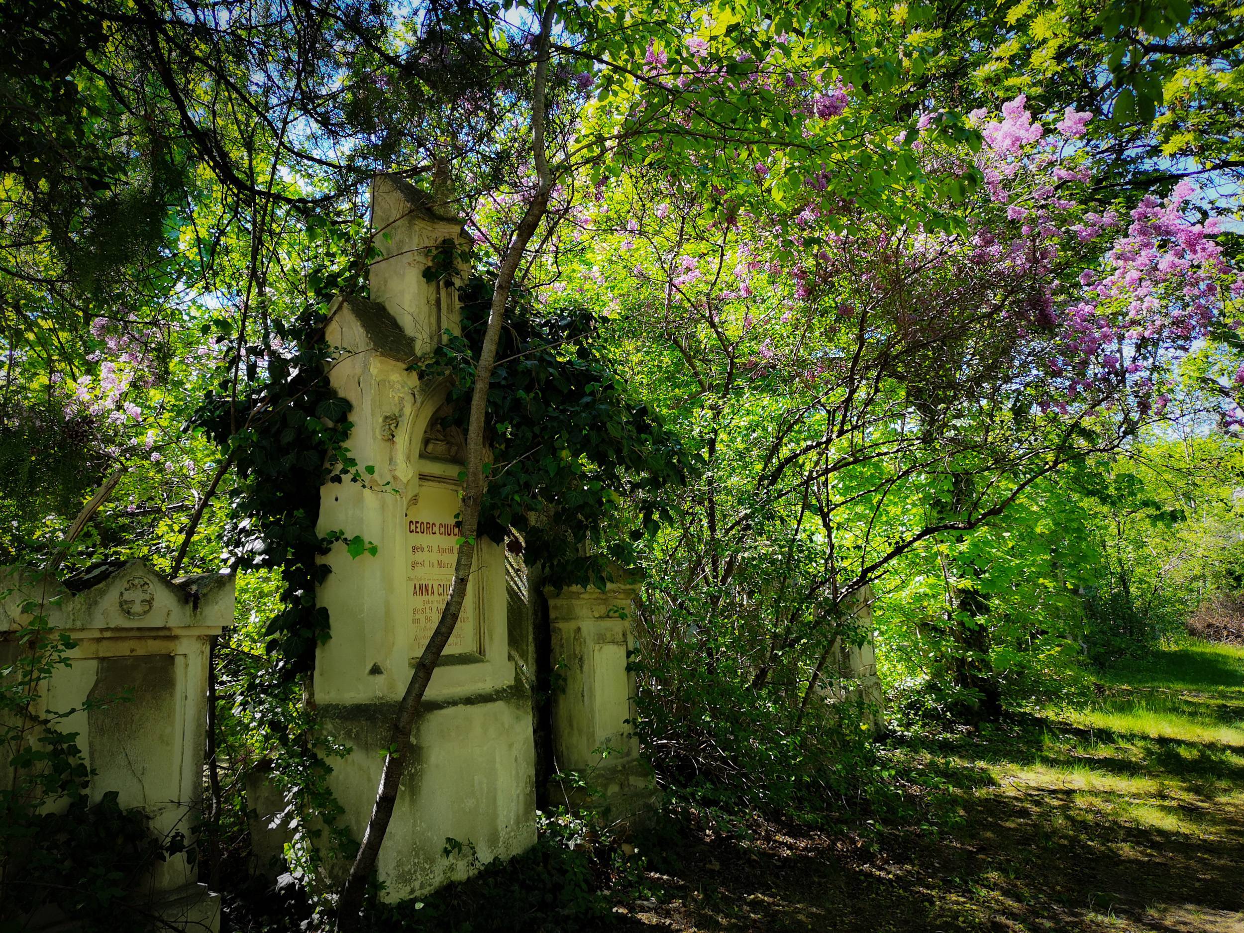 Overgrown Grave in St Marx Cemetery, Vienna