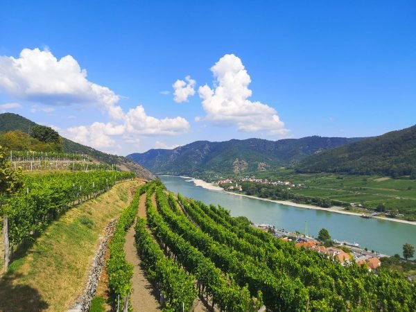 Danube river from Tausendeimerberg in Spitz in der Wachau, Austria