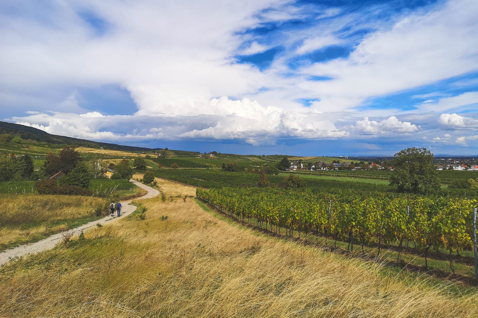 Hiking Genussmeile Thermeregion, Austria