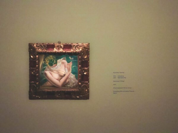 Radikal! in the Lower Belvedere 2025, Vienna