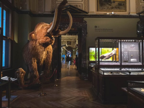 Stone Age Hall in Natural History Museum, Vienna