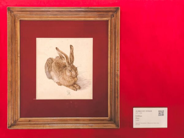 Albrecht Dürer, Young Hare, 1502 in Albertina, Vienna