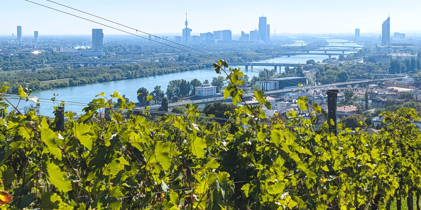 Vienna & River Donau from Nusdorfer wine hill