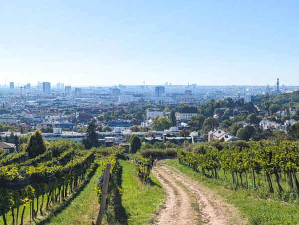 Vienna & River Donau from Nusdorfer wine hill 2