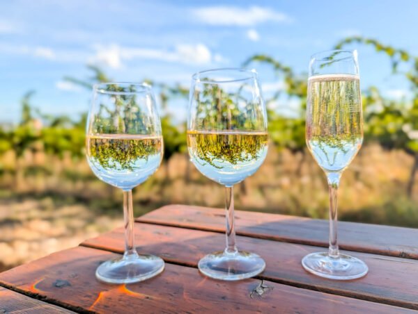 Glasses of Thermenregion wine at Genussmeile 2026